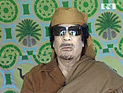 Каддафи готов уехать из Ливии и осесть с деньгами у Лукашенко, заявил беглый дипломат Каддафи готов уехать из Ливии и осесть с деньгами у Лукашенко, заявил беглый дипломат
