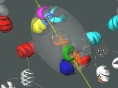 "Элементарные частицы", композиция с сайта PhysicsWeb.org "Элементарные частицы", композиция с сайта PhysicsWeb.org