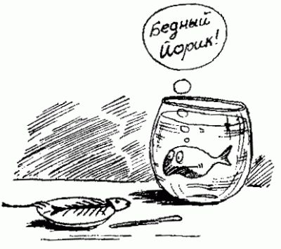 Нажмите для перехода к следующей картинке