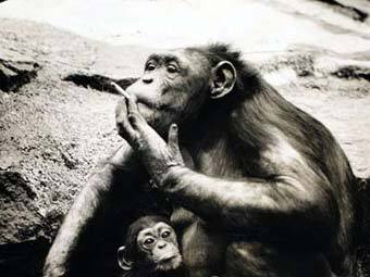  ,   National Geographic