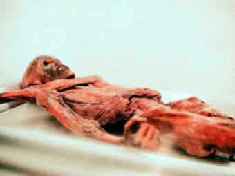 " " ,  Discovery channel   