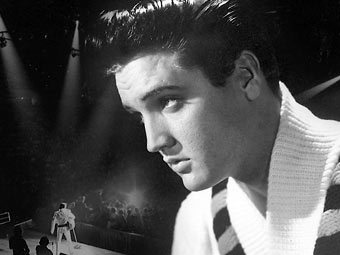  ,    elvis.com 