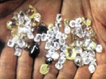  ,    www.angola.org.uk