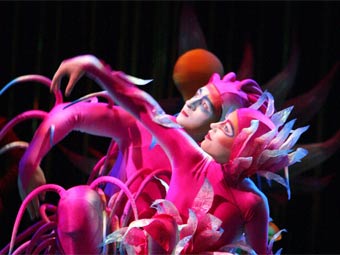    "Varekai".   - Cirque du Soleil