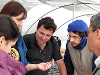     .    cityofdavid.org.il